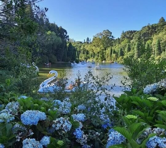 Lago Negro