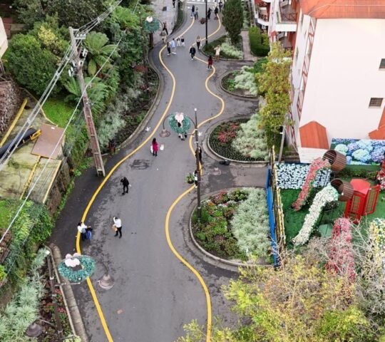 Rua Torta